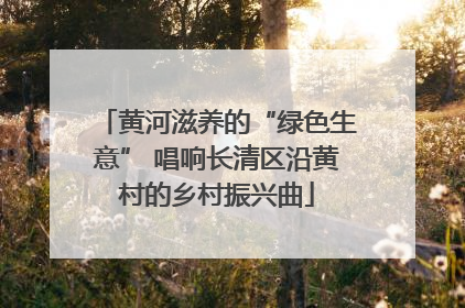 黄河滋养的“绿色生意” 唱响长清区沿黄村的乡村振兴曲