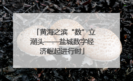 黄海之滨“数”立潮头——盐城数字经济崛起进行时
