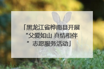 黑龙江省桦南县开展“父爱如山 真情相伴”志愿服务活动