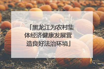 黑龙江为农村集体经济健康发展营造良好法治环境