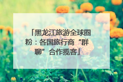 黑龙江旅游全球圈粉：各国旅行商“群聊”合作揽客