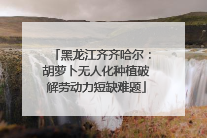 黑龙江齐齐哈尔：胡萝卜无人化种植破解劳动力短缺难题