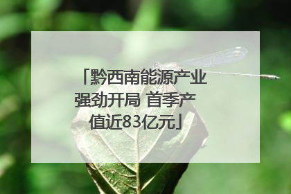 黔西南能源产业强劲开局 首季产值近83亿元