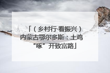 （乡村行·看振兴）内蒙古鄂尔多斯：土鸡“啄”开致富路
