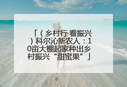 （乡村行·看振兴）科尔沁新农人：10亩大棚起家种出乡村振兴“甜蜜果”