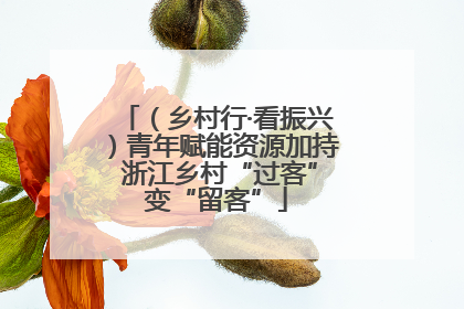 （乡村行·看振兴）青年赋能资源加持 浙江乡村“过客”变“留客”