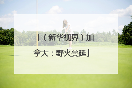 （新华视界）加拿大：野火蔓延