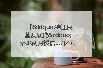 “锦江民营发展贷”落地两月授信1.7亿元，惠及118家民企
