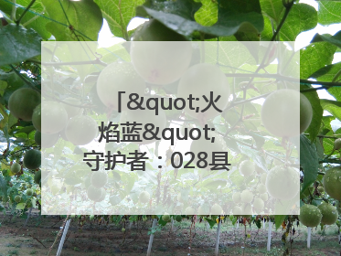 "火焰蓝"守护者：028县道上的暖心营救