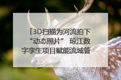 3D扫描为河流拍下“动态照片” 琼江数字孪生项目赋能流域管理｜新闻发布最前线