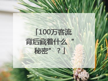 100万客流背后藏着什么“秘密”？