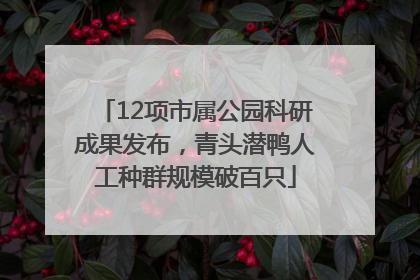 12项市属公园科研成果发布，青头潜鸭人工种群规模破百只