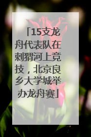15支龙舟代表队在刺猬河上竞技，北京良乡大学城举办龙舟赛