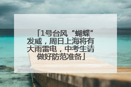 1号台风“蝴蝶”发威，周日上海将有大雨雷电，中考生请做好防范准备