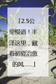 2.5公里慢道！丰泽这里，藏着初夏治愈的风……