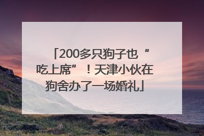 200多只狗子也“吃上席”！天津小伙在狗舍办了一场婚礼