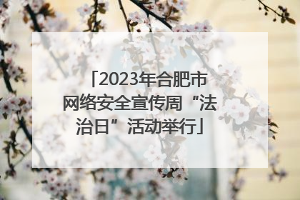 2023年合肥市网络安全宣传周“法治日”活动举行