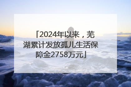 2024年以来，芜湖累计发放孤儿生活保障金2758万元