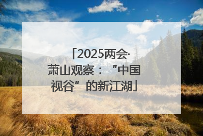 2025两会·萧山观察：“中国视谷”的新江湖