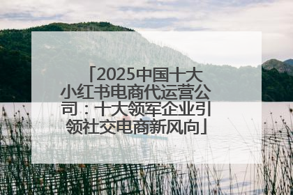 2025中国十大小红书电商代运营公司：十大领军企业引领社交电商新风向