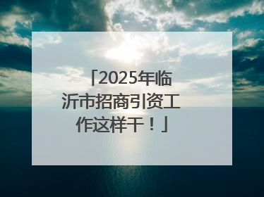 2025年临沂市招商引资工作这样干！