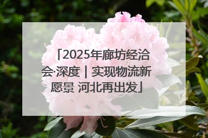 2025年廊坊经洽会·深度｜实现物流新愿景 河北再出发