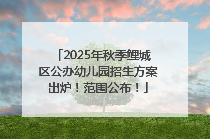 2025年秋季鲤城区公办幼儿园招生方案出炉！范围公布！