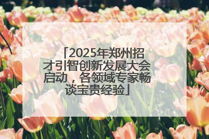 2025年郑州招才引智创新发展大会启动，各领域专家畅谈宝贵经验