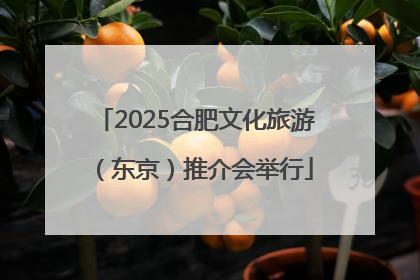 2025合肥文化旅游（东京）推介会举行