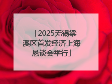 2025无锡梁溪区首发经济上海恳谈会举行