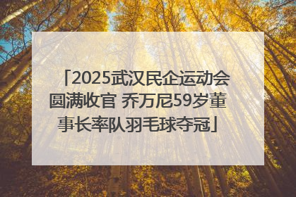 2025武汉民企运动会圆满收官 乔万尼59岁董事长率队羽毛球夺冠