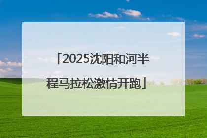 2025沈阳和河半程马拉松激情开跑