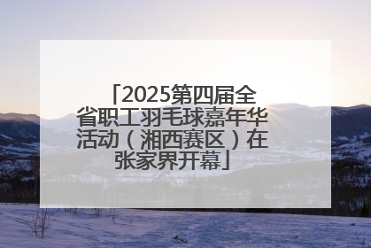 2025第四届全省职工羽毛球嘉年华活动（湘西赛区）在张家界开幕