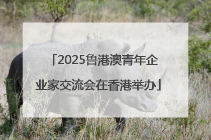 2025鲁港澳青年企业家交流会在香港举办