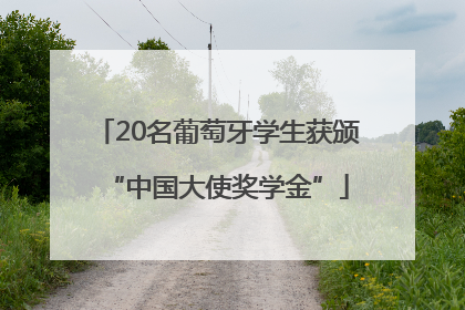 20名葡萄牙学生获颁“中国大使奖学金”