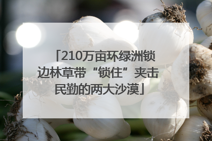 210万亩环绿洲锁边林草带“锁住”夹击民勤的两大沙漠