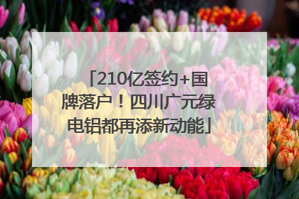 210亿签约+国牌落户！四川广元绿电铝都再添新动能