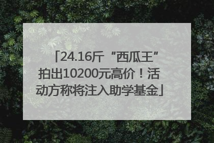 24.16斤“西瓜王”拍出10200元高价！活动方称将注入助学基金