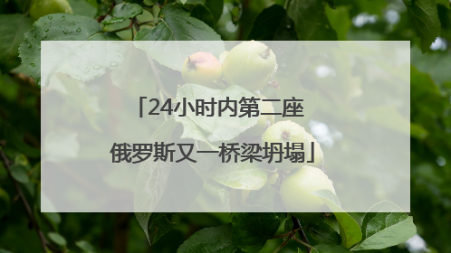 24小时内第二座 俄罗斯又一桥梁坍塌