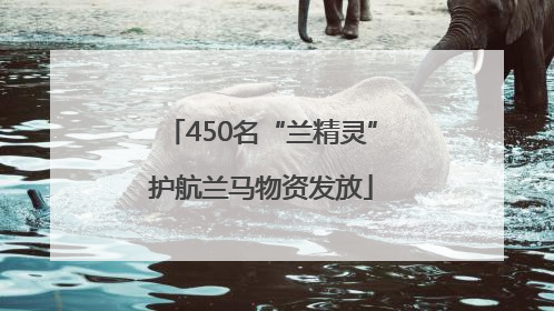 450名“兰精灵”护航兰马物资发放