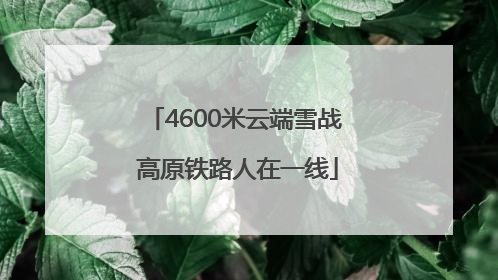 4600米云端雪战 高原铁路人在一线