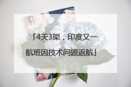 4天3架，印度又一航班因技术问题返航