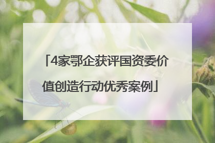 4家鄂企获评国资委价值创造行动优秀案例