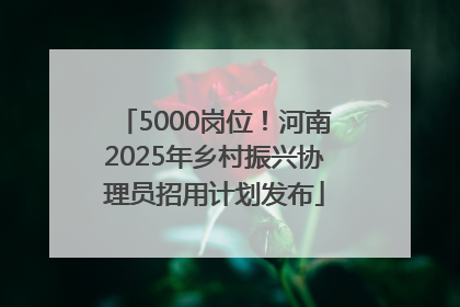 5000岗位！河南2025年乡村振兴协理员招用计划发布