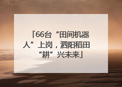66台“田间机器人”上岗，泗阳稻田“耕”兴未来