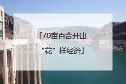 70亩百合开出“花”样经济
