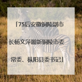 75后安徽铜陵副市长杨文萍履新铜陵市委常委、枞阳县委书记