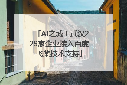 AI之城！武汉229家企业接入百度飞桨技术支持