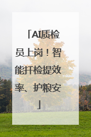 AI质检员上岗！智能扦检提效率、护粮安